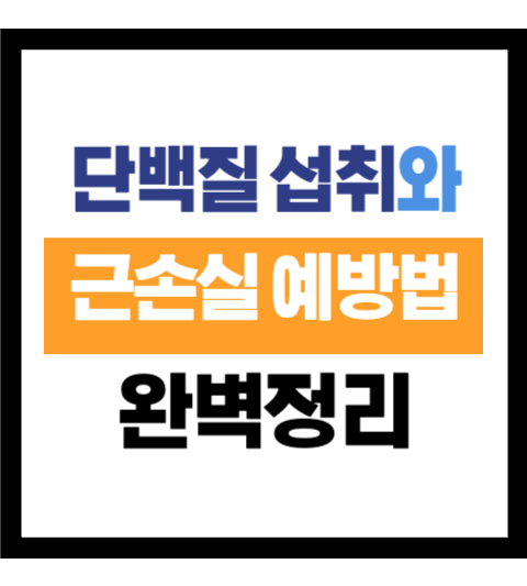 근손실 예방