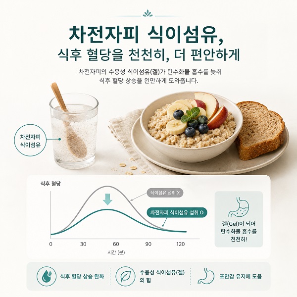탄수화물 식사와 차전자피 식이섬유, 완만한 혈당 변화 곡선을 함께 표현한 인포그래픽