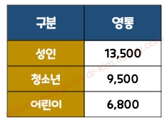 A4100-2 공항버스 요금