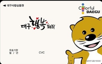 2025년 전국 시군별 지역페이 할인율과 혜택