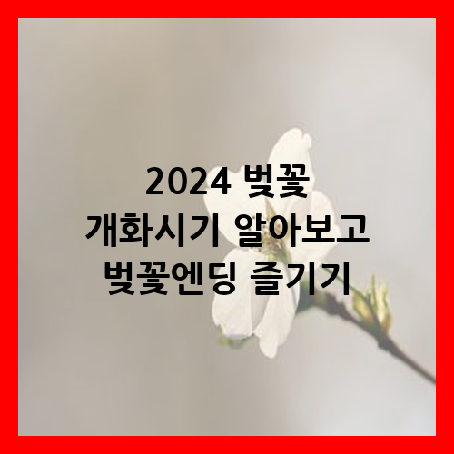 2024 벚꽃 개화시기