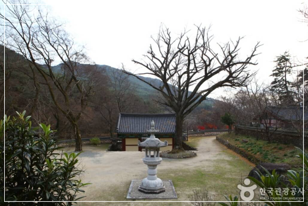 구례 가볼만한곳 베스트10 천은사