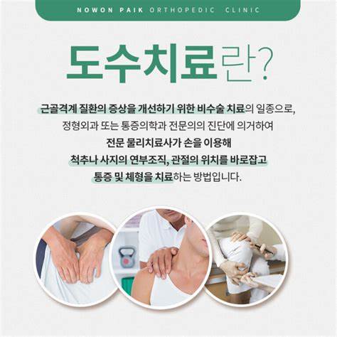《2025년 최신판》 도수치료 실손보험 보장 제외? 5세대 실손보험 개편 완전 분석