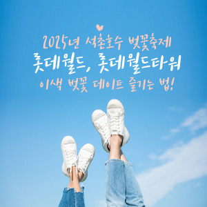석촌호수 벚꽃놀이 꿀팁
