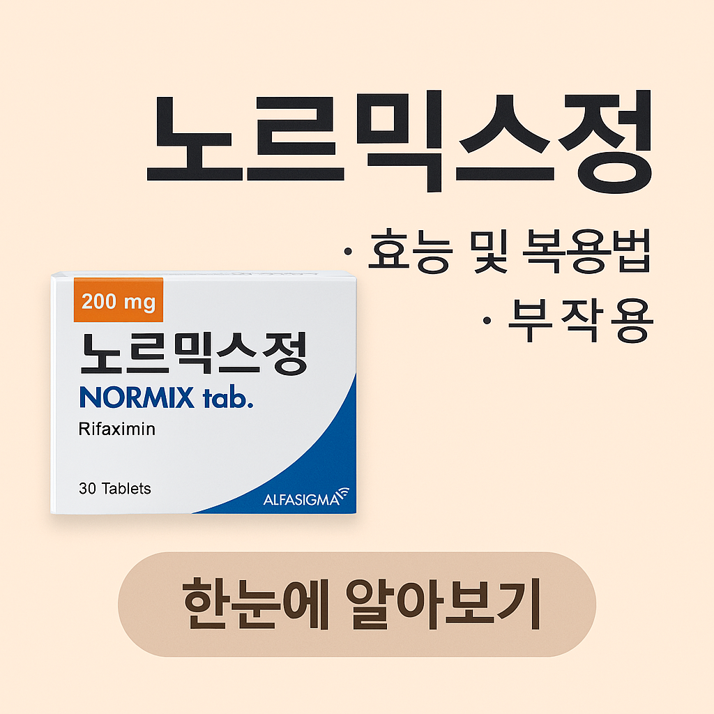 노르믹스정-이미지