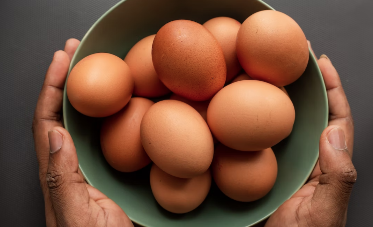 조류인플루엔자로-계란-가격-인상