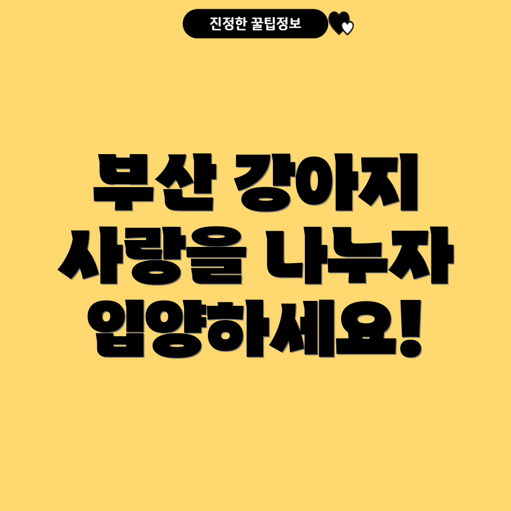 부산 강아지 입양