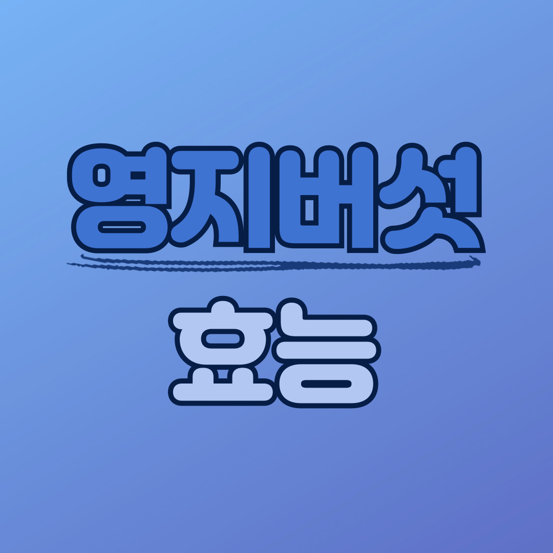 영지버섯 효능 및 부작용 영지버섯 먹는법