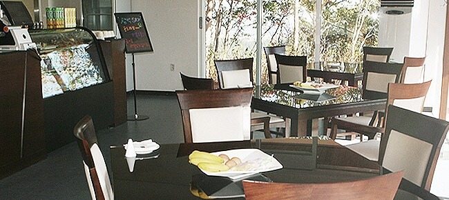 2025/2026 오투리조트 스키장 시즌권 렌탈 할인 완벽 가이드