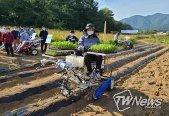 중부 남부 들깨 파종시기 및 들깨 재배방법 요약 정리_12