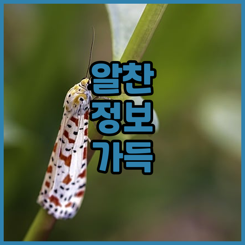 하노이 여행 숙소 고민 해결 8곳의