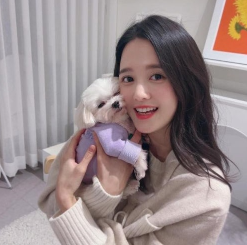 남보라 반려견