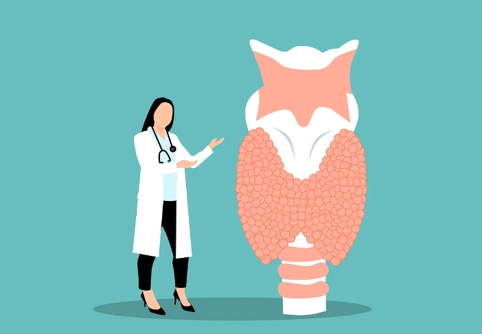 갑상선 건강 관리