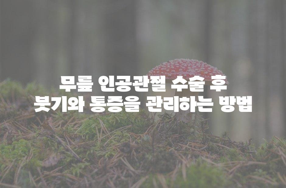 샘플 (42)