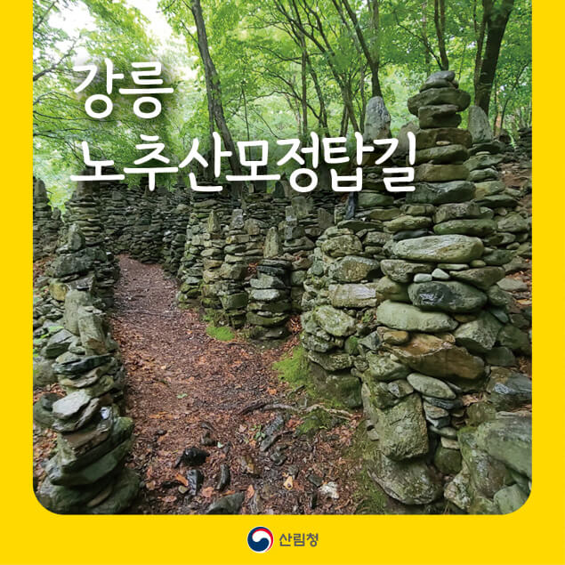 강릉 명품숲길 추천 : 노추산 모정탑길, 계곡과 탑이 어우러진 힐링코스