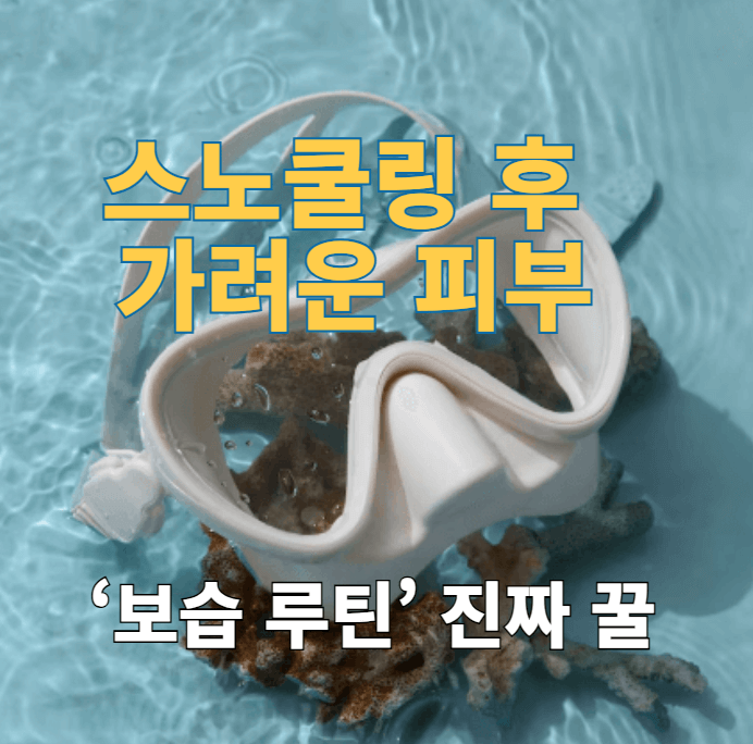 스노쿨링 후 피부, 안 가렵게 지킬 수 있어요