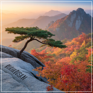 2025년 단풍 절정 시기 &ndash; 수도권&middot;충청권 단풍 명소 가상 이미지