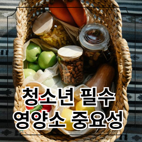 청소년 필수 영양소