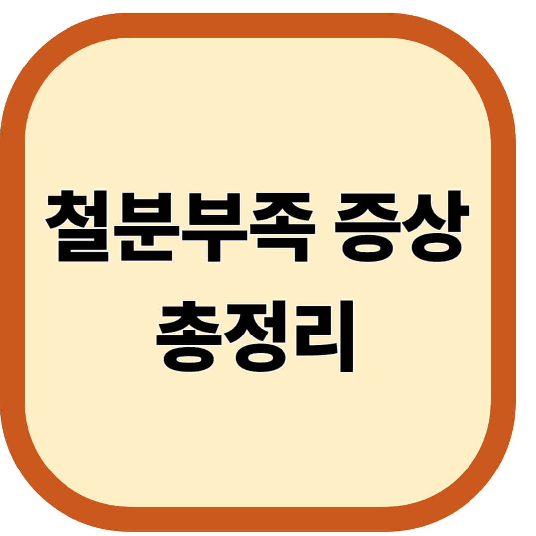 철분부족 증상