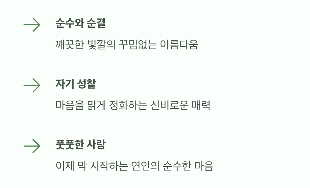순백의 깨끗함&amp;#44; 순수와 존중