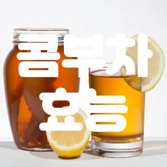 콤부차 효능_19