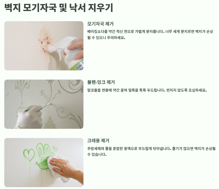 벽지 곰팡이 제거&amp;#44; 얼룩(모기자국&amp;#44;음식&amp;#44;낙서 등) 제거방법: 벽지 청소법