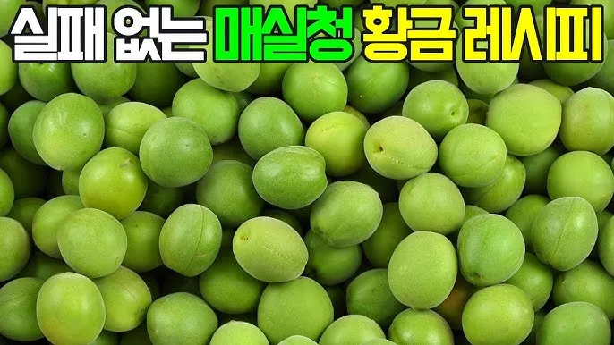 매실청 건더기 활용 처리 방법 정리_5