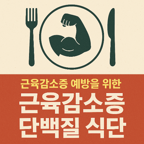 근육감소증 예방을 위한 단백질 황금 식단 가이드