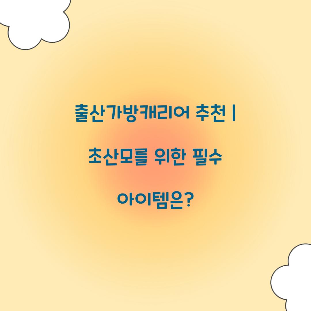 출산가방캐리어 추천