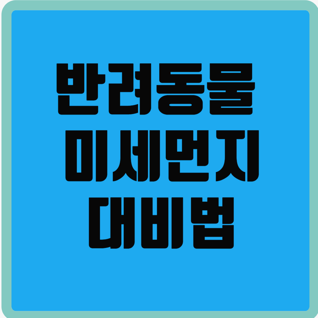 반려동물 미세먼지 대비법