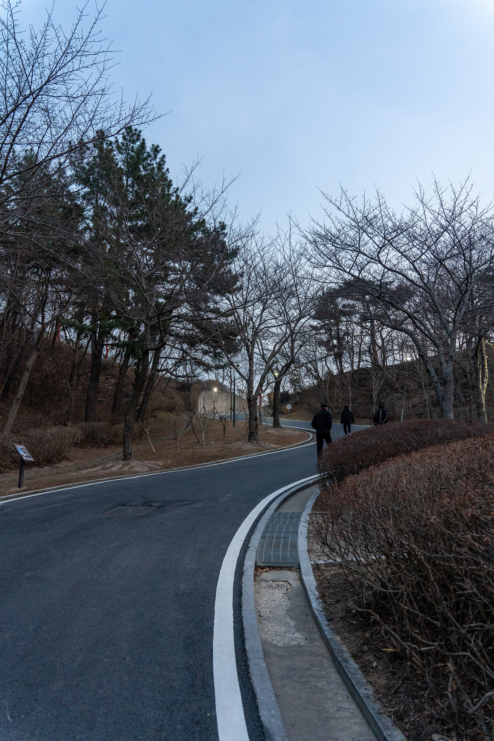 환호공원 스페이스워크행 포장로