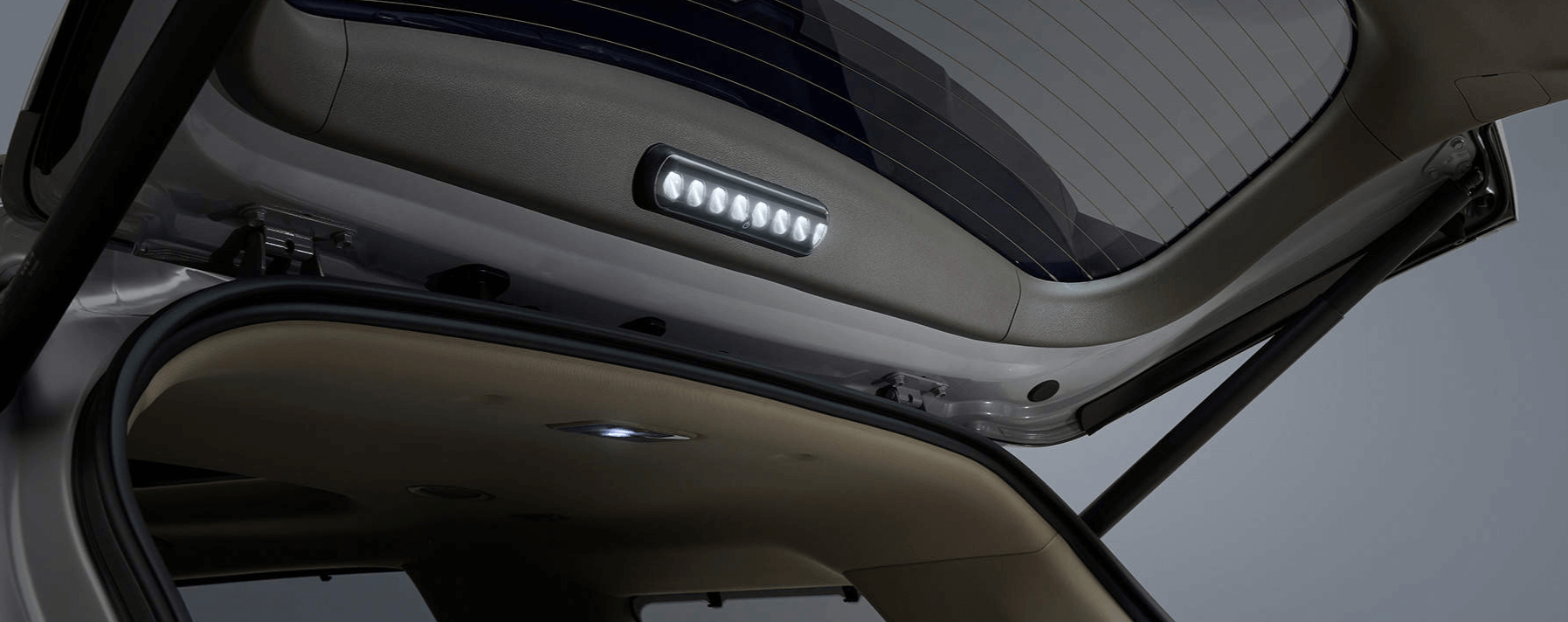 카니발 하이브리드