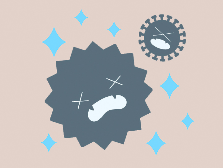 자유-라디칼-제거하는-글루타치온