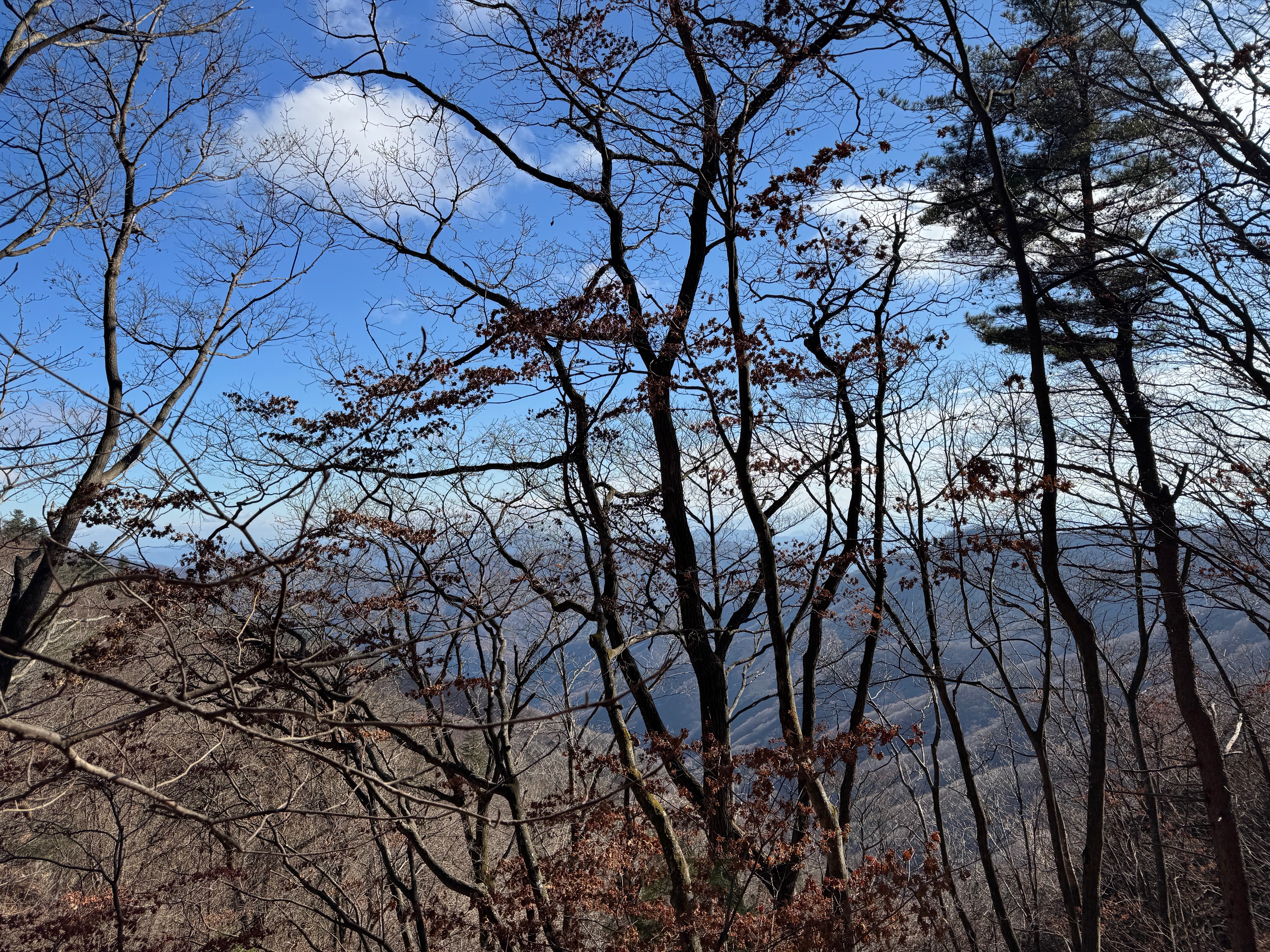 명지산 정상 가는길