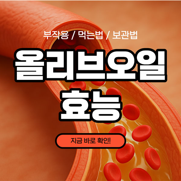 올리브오일 효능 총정리