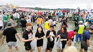 홍성 가볼만한곳 베스트 추천 여행: 남당항