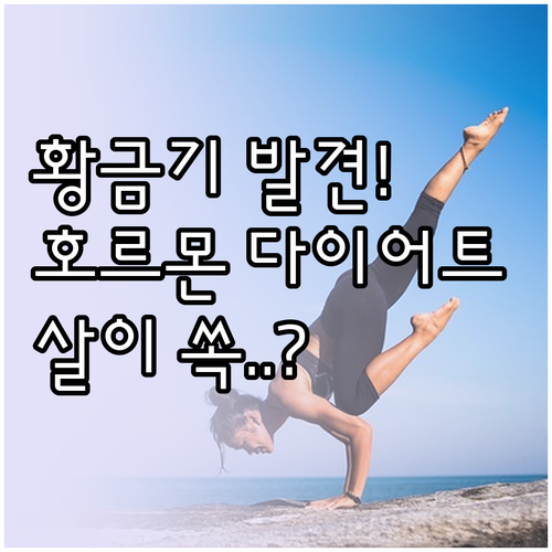 생리 주기별 호르몬 변화 이용한 건강..