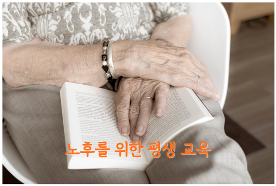 노후에는 새로운 것을 배우고 도전하는 것이 더욱 중요합니다. 평생교육은 단순한 학습이 아니라, 삶의 활력을 되찾고 건강한 정신을 유지하는 핵심 요소입니다.