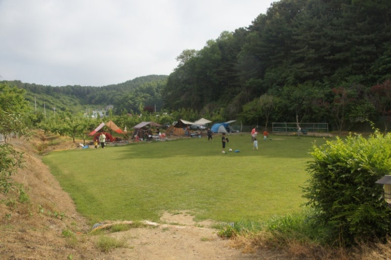 파주 인생캠핑장, 추천캠핑장