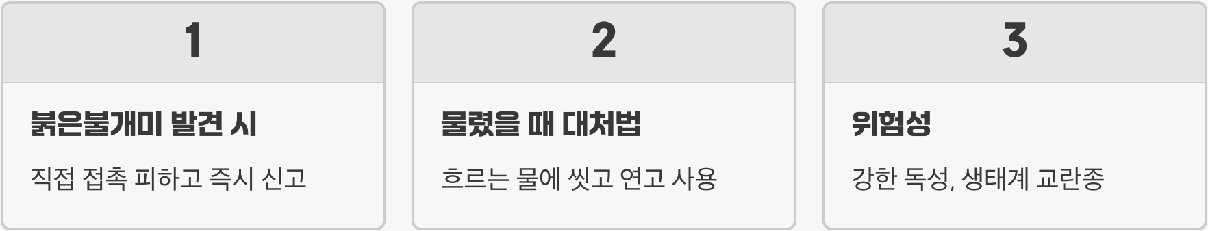 우리나라 불개미 vs 살인 불개미(붉은불개미), 1분 만에 구별하는 결정적 차이점