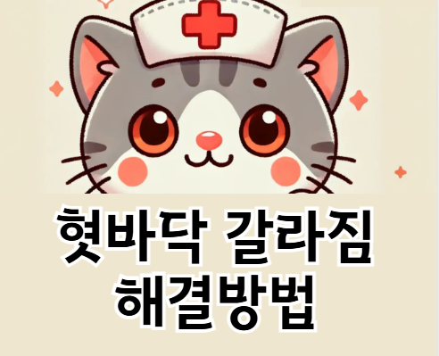 혓바닥이 갈라짐 이유? 원인 분석 및 효과적인 치료 방법 총정리