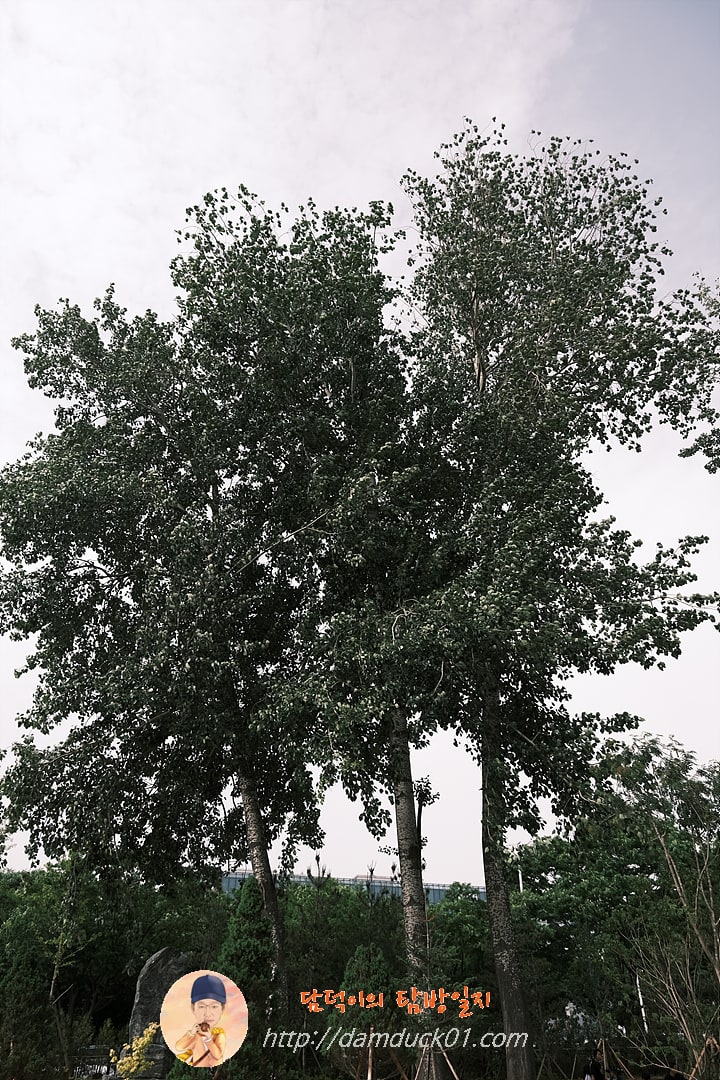 다산정원 가는 길