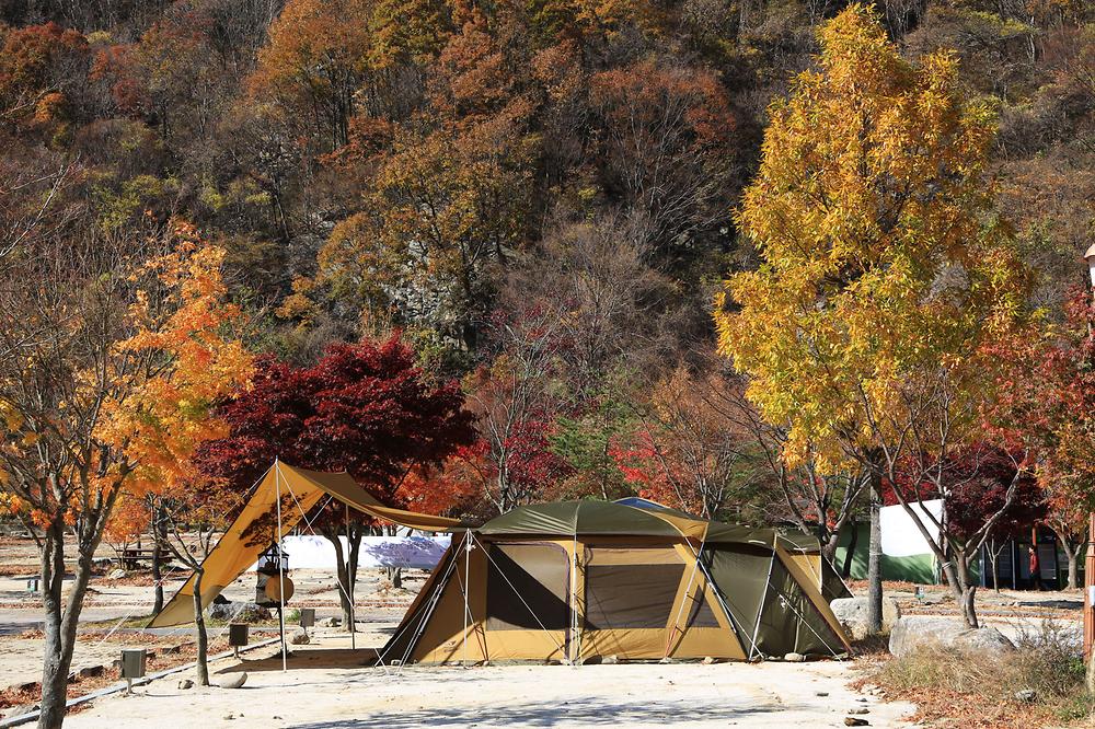 지리산 달궁자동차야영장
전북 남원시 산내면 덕동리 274