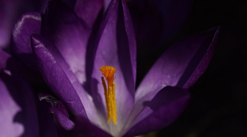 건설업 창업, 초기 자본과 성공 노하우 공개