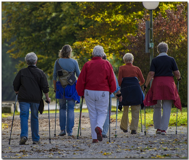 숲속에서 노르딕워킹중인 사람들
