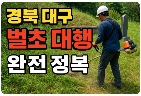 경북 대구 벌초 대행 완전 정복