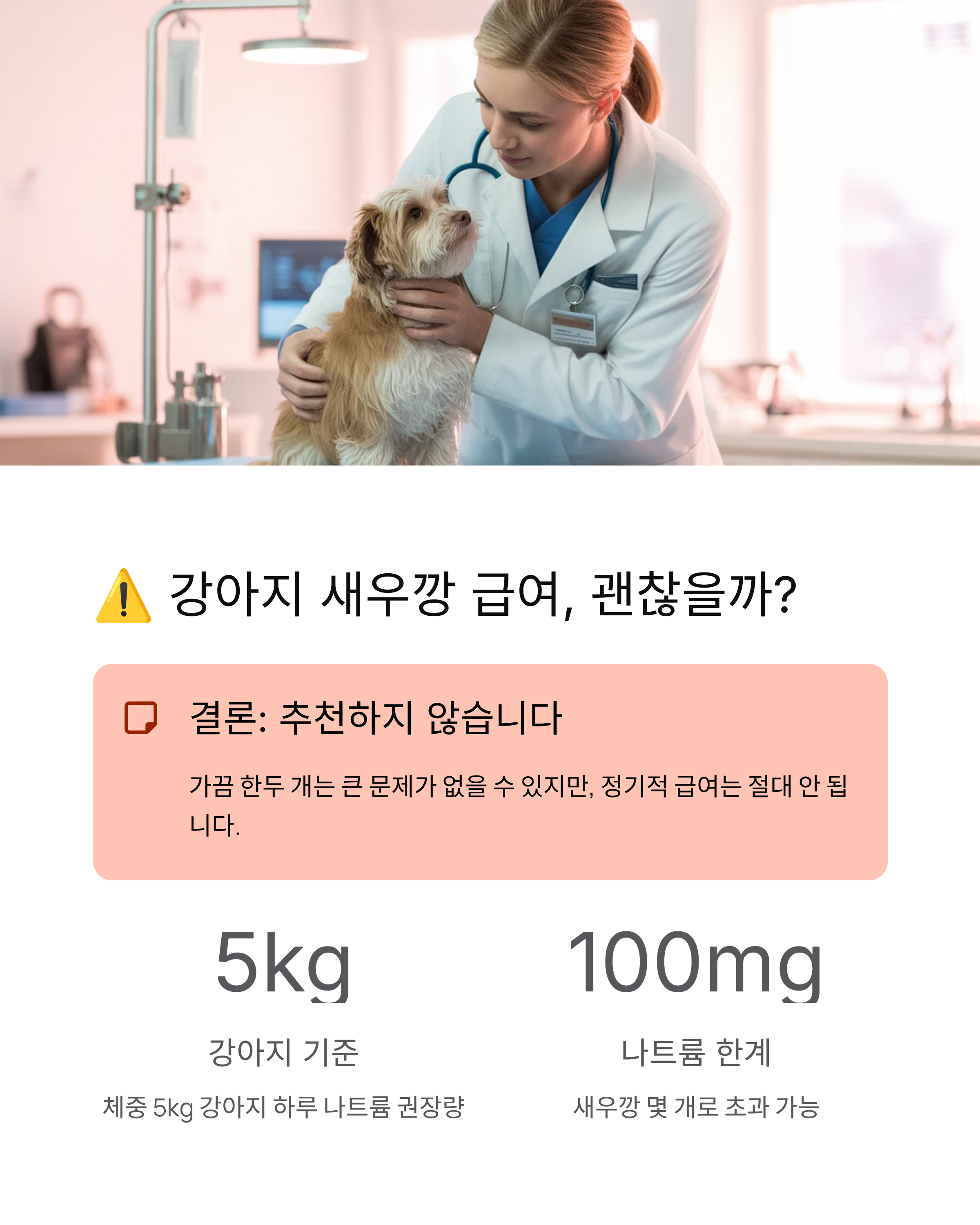 강아지 새우깡 먹어도 될까? 꼭 알아야 할 5가지 진실