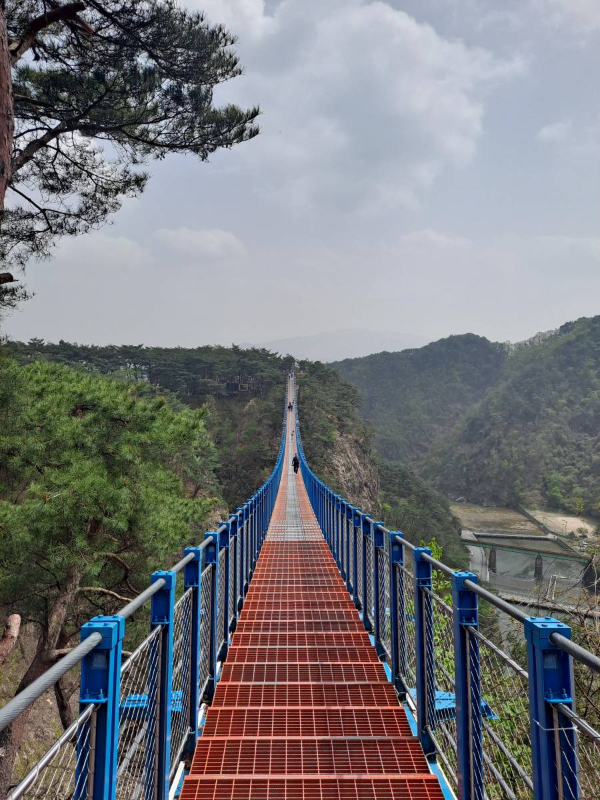 내가 건너온 출렁다리