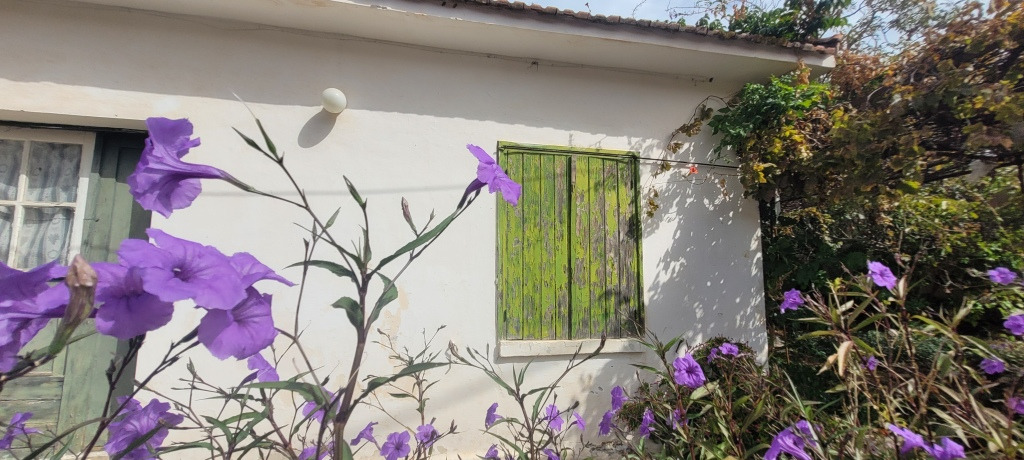 4일 가이드 혼자 여행 케팔로니아: 그리스 이오니아 제도