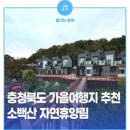 단양 소백산 자연휴양림 예약